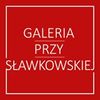 Galeria przy Slawkowskiej